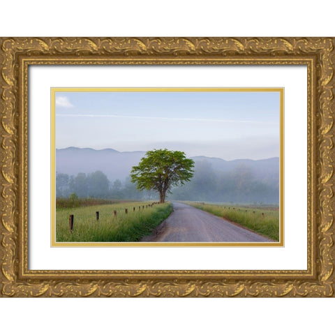 Hyatt Lane in fog Cades Cove Great Smoky Mountains National Park-Tennessee Gold Ornate Wood Framed Art Print with Double Matting by Day, Richard and Susan