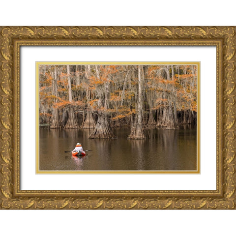 Bald Cypress tree draped in Spanish moss with fall colors and kayaker Caddo Lake State Park Gold Ornate Wood Framed Art Print with Double Matting by Jones, Adam
