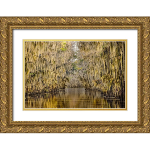 Bald cypress trees draped in Spanish moss in autumn lining Government Ditch Caddo Lake Gold Ornate Wood Framed Art Print with Double Matting by Jones, Adam
