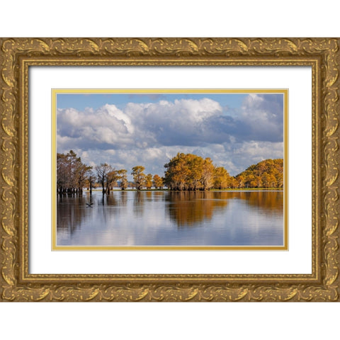 Bald cypress trees in autumn Caddo Lake-Uncertain-Texas Gold Ornate Wood Framed Art Print with Double Matting by Jones, Adam