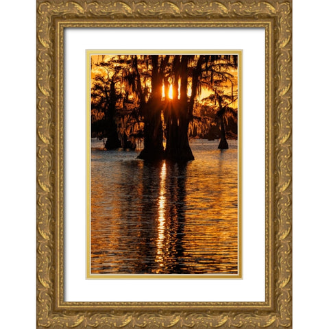 Bald cypress trees silhouetted at sunset Caddo Lake-Uncertain-Texas Gold Ornate Wood Framed Art Print with Double Matting by Jones, Adam