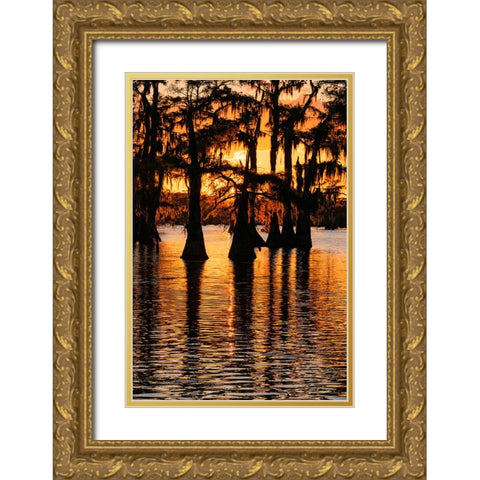 Bald cypress trees silhouetted at sunset Caddo Lake-Uncertain-Texas Gold Ornate Wood Framed Art Print with Double Matting by Jones, Adam