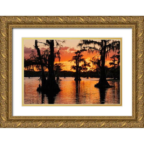 Bald cypress trees silhouetted at sunset Caddo Lake-Uncertain-Texas Gold Ornate Wood Framed Art Print with Double Matting by Jones, Adam