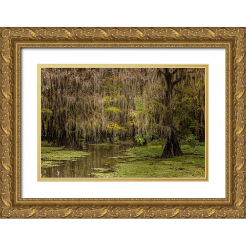 Cypress trees and Spanish moss lining shoreline of Caddo Lake-Uncertain-Texas Gold Ornate Wood Framed Art Print with Double Matting by Jones, Adam