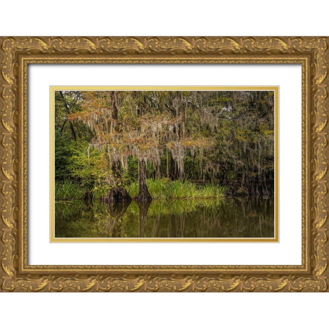 Cypress trees and Spanish moss lining shoreline of Caddo Lake-Uncertain-Texas Gold Ornate Wood Framed Art Print with Double Matting by Jones, Adam