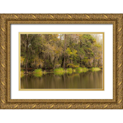 Cypress trees and Spanish moss lining shoreline of Caddo Lake-Uncertain-Texas Gold Ornate Wood Framed Art Print with Double Matting by Jones, Adam