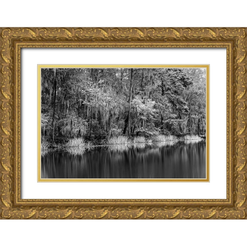 Cypress trees and Spanish moss lining shoreline of Caddo Lake-Uncertain-Texas Gold Ornate Wood Framed Art Print with Double Matting by Jones, Adam