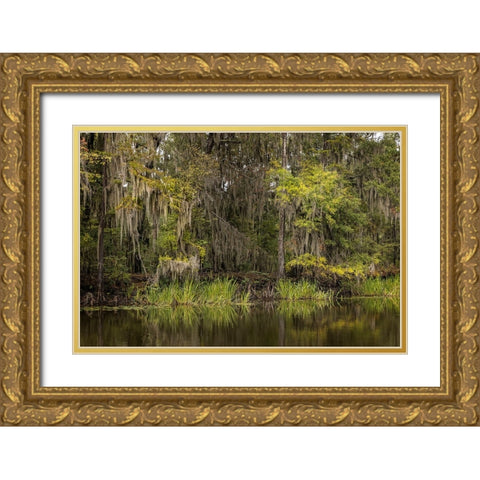 Cypress trees and Spanish moss lining shoreline of Caddo Lake-Uncertain-Texas Gold Ornate Wood Framed Art Print with Double Matting by Jones, Adam