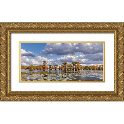 Bald cypress trees in autumn and lily-ads Caddo Lake-Uncertain-Texas Gold Ornate Wood Framed Art Print with Double Matting by Jones, Adam