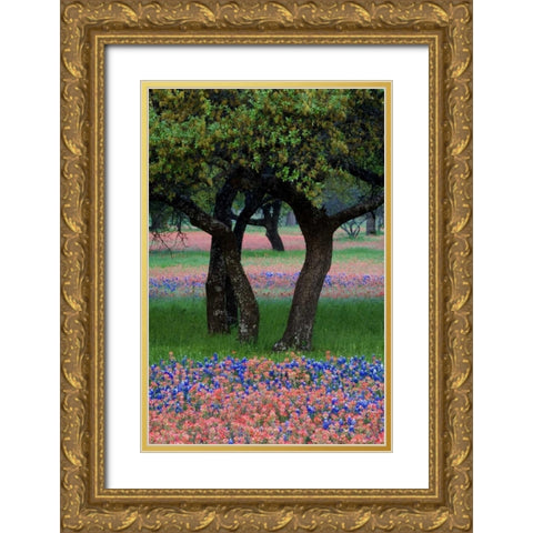 TX, Hill Country, Texas flowers and Dancing Trees Gold Ornate Wood Framed Art Print with Double Matting by Rotenberg, Nancy