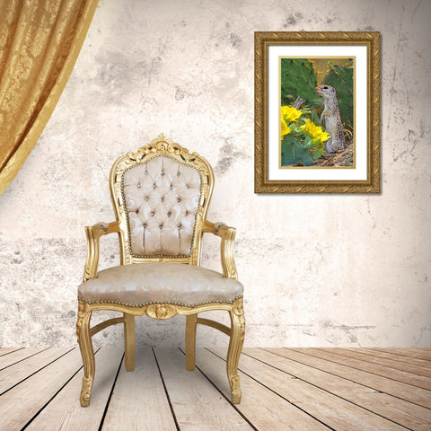 TX, McAllen Mexican ground squirrel by flowers Gold Ornate Wood Framed Art Print with Double Matting by Welling, Dave
