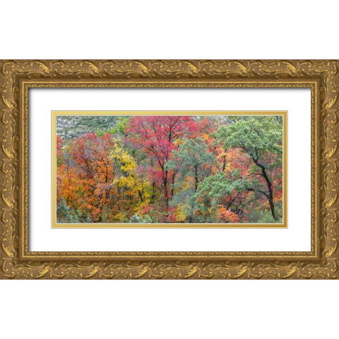 TX, Guadalupe Mts Panoramic of McKittrick Canyon Gold Ornate Wood Framed Art Print with Double Matting by Paulson, Don