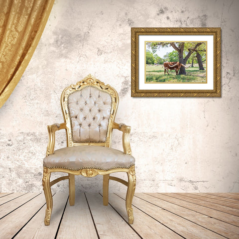 Marble Falls-Texas-USA-Longhorn cattle in the Texas Hill Country Gold Ornate Wood Framed Art Print with Double Matting by Wilson, Emily M.