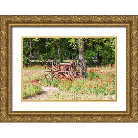 Castroville-Texas-USA-Rusted antique farm equipment in a field of poppies Gold Ornate Wood Framed Art Print with Double Matting by Wilson, Emily M.