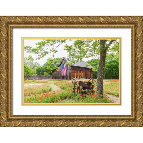 Castroville-Texas-USA-Large American flag on a barn in the Texas Hill Country Gold Ornate Wood Framed Art Print with Double Matting by Wilson, Emily M.