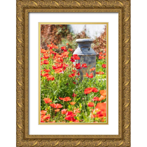 Castroville-Texas-USA-Old milk jug in poppies in the Texas Hill Country Gold Ornate Wood Framed Art Print with Double Matting by Wilson, Emily M.