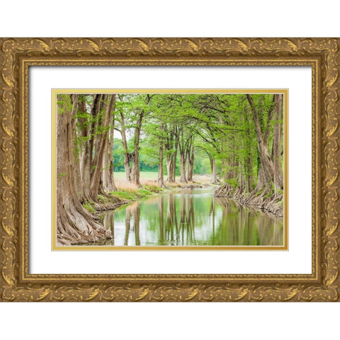 Waring-Texas-USA-Trees along the Guadalupe River in the Texas Hill Country Gold Ornate Wood Framed Art Print with Double Matting by Wilson, Emily M.