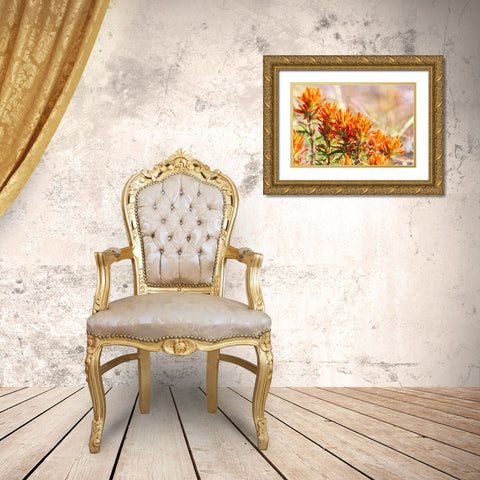 Johnson City-Texas-USA-Indian Paintbrush wildflowers in the Texas Hill Country Gold Ornate Wood Framed Art Print with Double Matting by Wilson, Emily M.