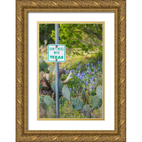 Llano-Texas-USA-Dont Mess With Texas sign in the hill country Gold Ornate Wood Framed Art Print with Double Matting by Wilson, Emily M.