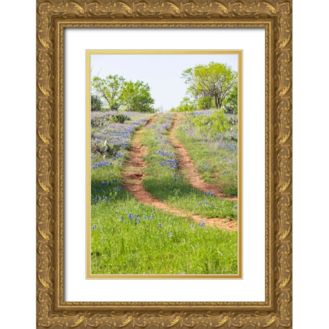 Llano-Texas-USA-Two rut road through bluebonnets in the Texas Hill Country Gold Ornate Wood Framed Art Print with Double Matting by Wilson, Emily M.
