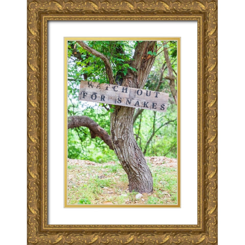 Castroville-Texas-USA-Sign warning snakes in the Texas Hill Country Gold Ornate Wood Framed Art Print with Double Matting by Wilson, Emily M.