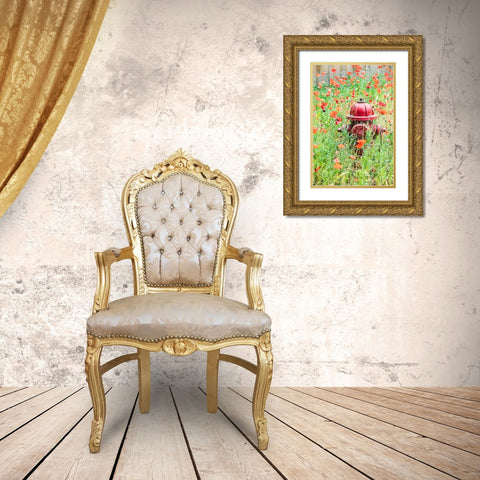 Castroville-Texas-USA-Poppies and fire hydrant in the Texas Hill Country Gold Ornate Wood Framed Art Print with Double Matting by Wilson, Emily M.
