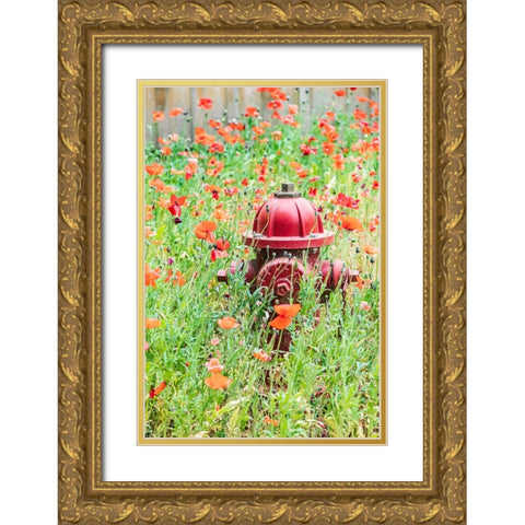 Castroville-Texas-USA-Poppies and fire hydrant in the Texas Hill Country Gold Ornate Wood Framed Art Print with Double Matting by Wilson, Emily M.