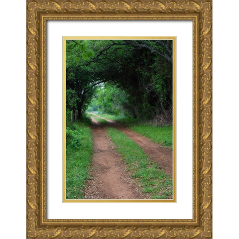 Farm road and pathway Gold Ornate Wood Framed Art Print with Double Matting by Ditto, Larry