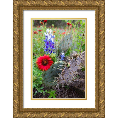 Firewheels and Bluebonnets with Prickly Pear Cactus Gold Ornate Wood Framed Art Print with Double Matting by Ditto, Larry