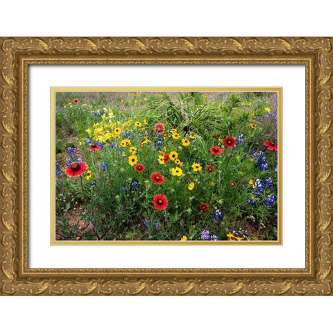 Wildflowers including Slender Greenthread and Firewheel Gold Ornate Wood Framed Art Print with Double Matting by Ditto, Larry