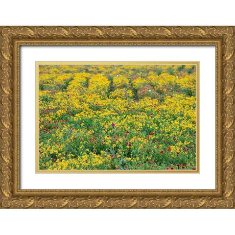 Texas Wildflowers Gold Ornate Wood Framed Art Print with Double Matting by Ditto, Larry