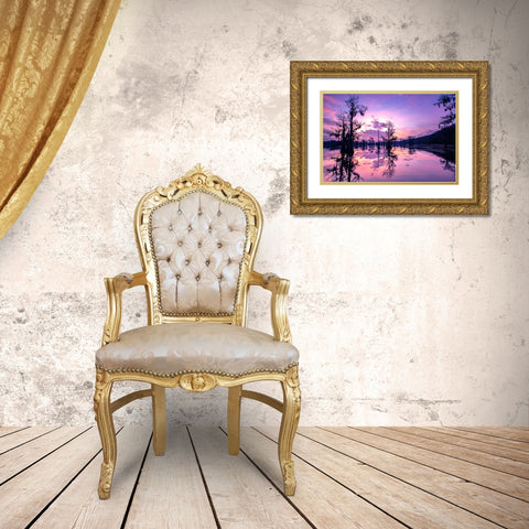 Caddo Lake at sunrise Gold Ornate Wood Framed Art Print with Double Matting by Ditto, Larry