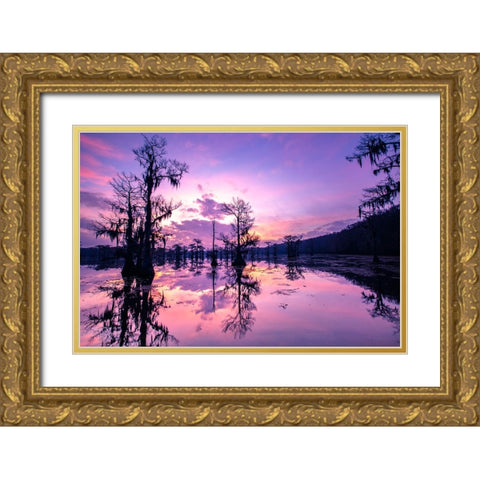 Caddo Lake at sunrise Gold Ornate Wood Framed Art Print with Double Matting by Ditto, Larry