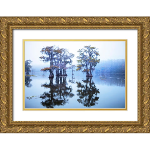 Caddo Lake morning Gold Ornate Wood Framed Art Print with Double Matting by Ditto, Larry