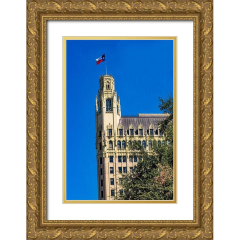 Emily Morgan West Hotel Texas Flag Next to Alamo-San Antonio-Texas Emily West-yellow Rose of Texas Gold Ornate Wood Framed Art Print with Double Matting by Perry, William