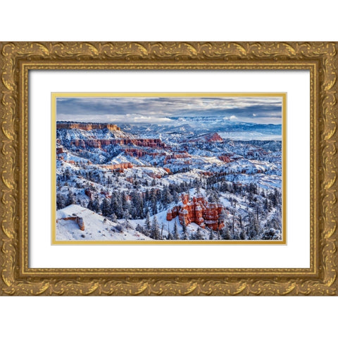 Utah-Bryce Canyon National Park-Buttes and hoodoos on a winter morning Gold Ornate Wood Framed Art Print with Double Matting by Collins, Ann
