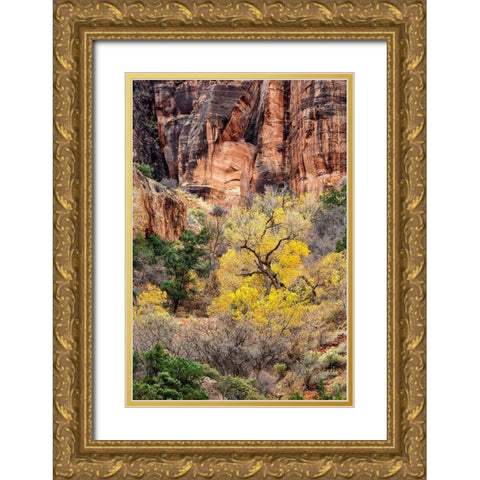 Utah-Zion National Park-Autumn color high above the canyon Gold Ornate Wood Framed Art Print with Double Matting by Collins, Ann