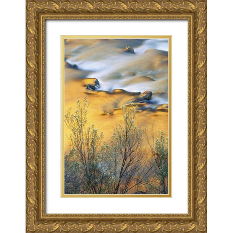 UT, Zion NP, Virgin River With Canyon Reflections Gold Ornate Wood Framed Art Print with Double Matting by Rotenberg, Nancy