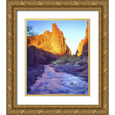 USA, Utah, A stream near Fisher Towers Gold Ornate Wood Framed Art Print with Double Matting by Talbot Frank, Christopher
