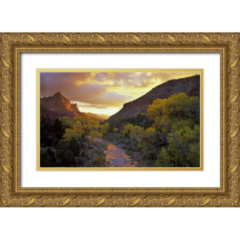 UT, Zion NP  Canyon landscape at sunset Gold Ornate Wood Framed Art Print with Double Matting by Young, Bill