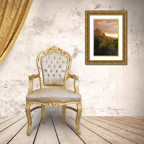 UT, Zion NP  Canyon landscape at sunset Gold Ornate Wood Framed Art Print with Double Matting by Young, Bill