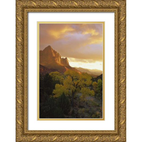 UT, Zion NP  Canyon landscape at sunset Gold Ornate Wood Framed Art Print with Double Matting by Young, Bill