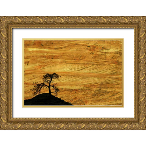 UT, Zion NP The silhouette of a small tree Gold Ornate Wood Framed Art Print with Double Matting by Kaveney, Wendy