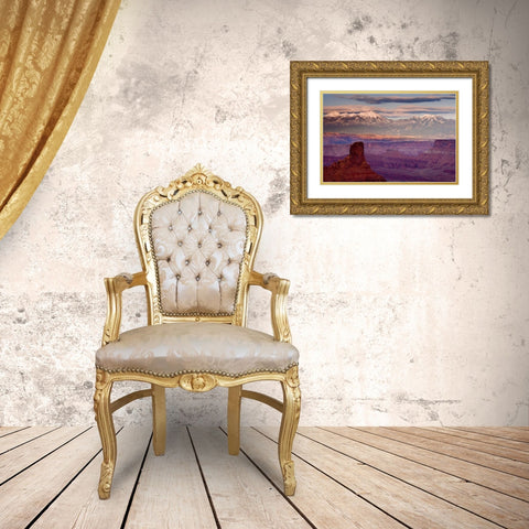 UT, Dead Horse Point SP  La Sal Mts at sunset Gold Ornate Wood Framed Art Print with Double Matting by Paulson, Don