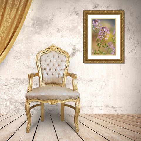 Utah Honey bee landing on mountain bee plant Gold Ornate Wood Framed Art Print with Double Matting by Welling, Dave