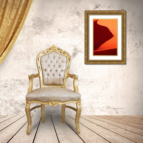UT, Coral Pink Sand Dunes SP Abstract patterns Gold Ornate Wood Framed Art Print with Double Matting by Welling, Dave