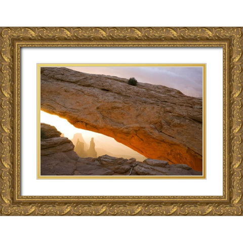 UT, Canyonlands NP Washer Woman through Mesa Arch Gold Ornate Wood Framed Art Print with Double Matting by Paulson, Don