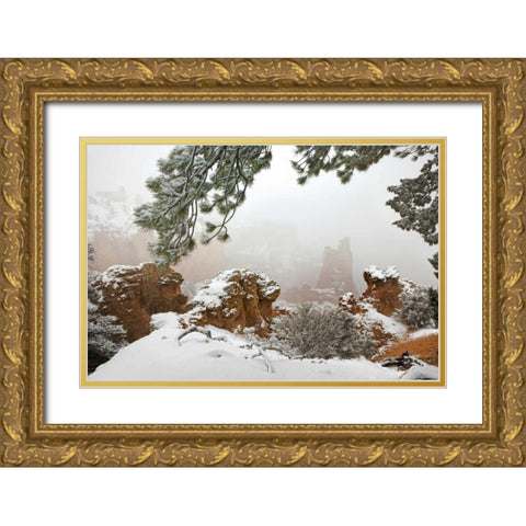 Utah, Bryce Canyon Paria Valley formations Gold Ornate Wood Framed Art Print with Double Matting by Paulson, Don