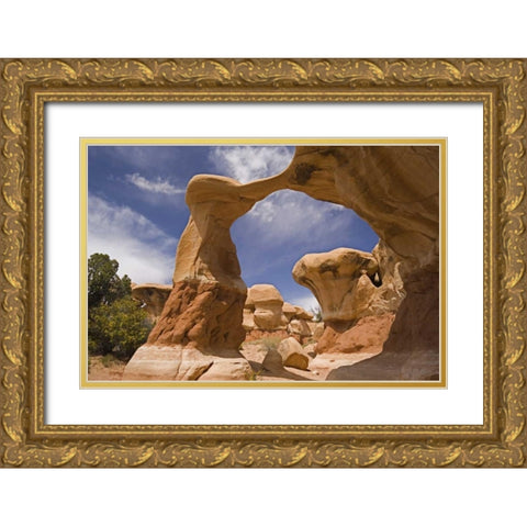 UT, Escalante Grand Staircase NM, Devils Garden Gold Ornate Wood Framed Art Print with Double Matting by Paulson, Don