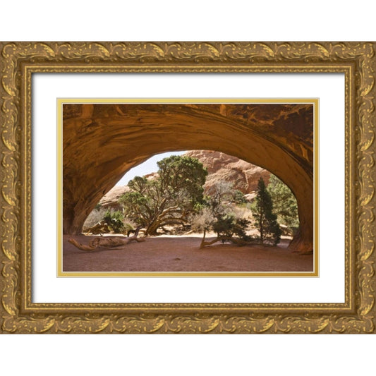 Perspective Image
